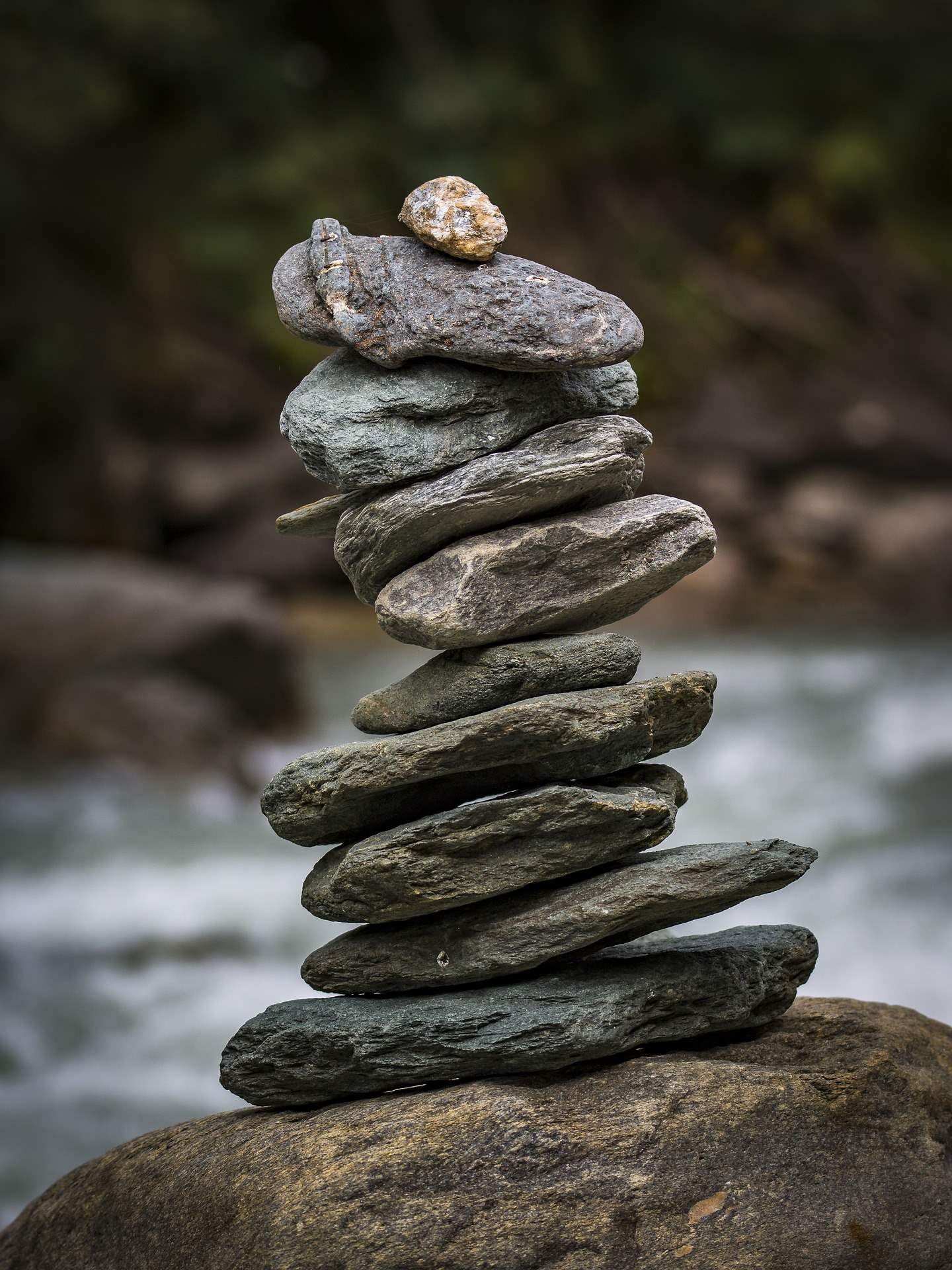 Life Grounded