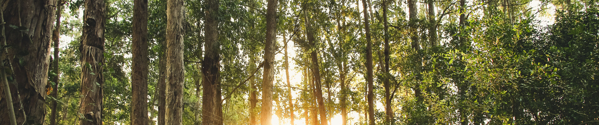 Grounded Life Psychology - Spotswood Psychologist Melbourne
