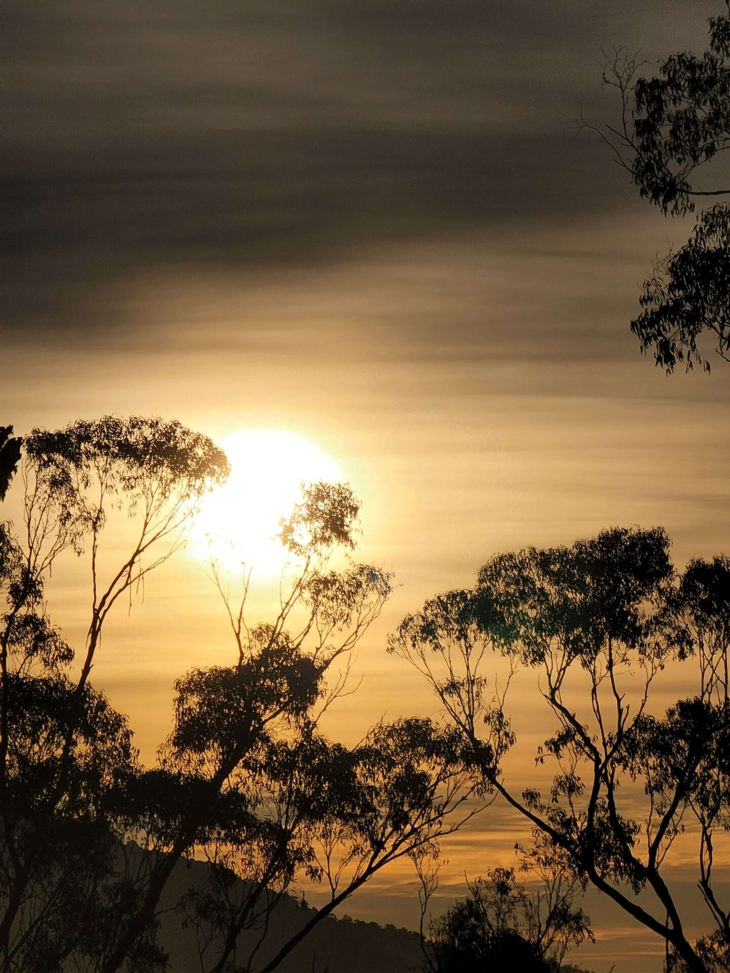 Grounded Life Psychology - Spotswood Psychologist Melbourne